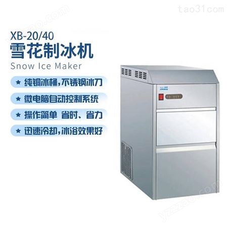 净信XB-50雪花制冰机小型医学实验大型海鲜火锅西餐日料保鲜