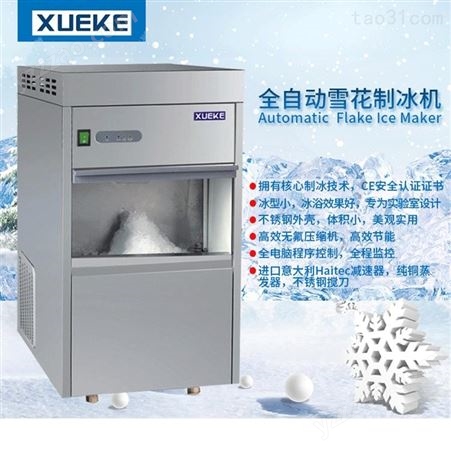 常熟雪科雪花制冰机IMS-20全自动雪花制冰机商用碎冰机实验室