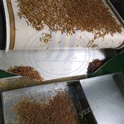 五谷杂粮熟化机 微波黄粉虫烘干设备 薏米微波烘烤机