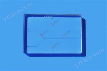 Y型层流玻璃芯片