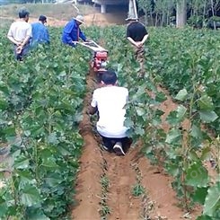 汽油170开沟培土机 省人工种植起垄机 葱姜种植开沟机