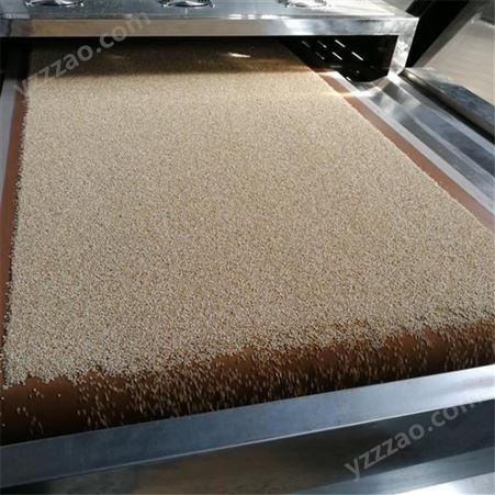 薏米微波烘干机 薏米熟化设备价格