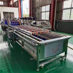 安徽大型清洗线生产厂家 猕猴桃清洗生产线设备 苹果清洗机