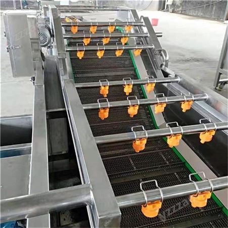 海带扣清洗机-蔬菜水果清洗机械生产厂家-可加工定做-一台起批海带丝