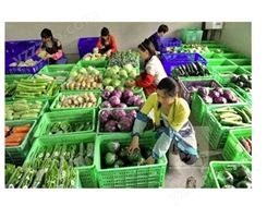 水果蔬菜配送中心_蔬菜超市配送_田园农产品蔬菜配送