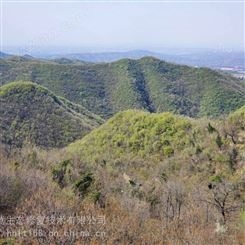 郴州矿山边坡生态修复喷播工程彩光绿化团粒剂