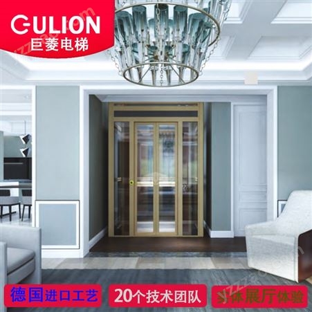 Gulion/巨菱私家定制家用迷你电梯 小型别墅电梯价格GN200