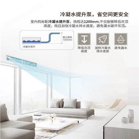 重庆 日立变频空调别墅系列33.5KW 别墅专用