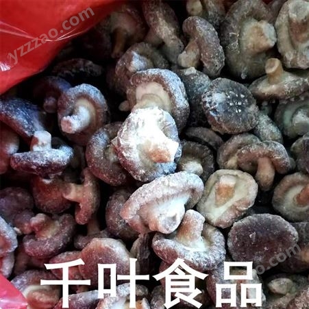 千叶出口级冷冻香菇条价格 冷冻香菇片 冷冻香菇丁
