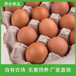 新鲜土鸡蛋_农家蛋报价_德谷食品_量大从优