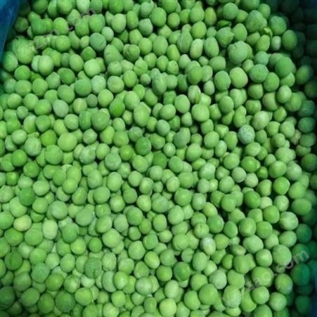 速冻青豆粒 营养新鲜冷冻产品青豆粒散装批发