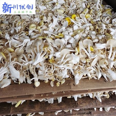 贵州菌菇烘干设备 菌类菇类烘干房