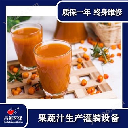 新疆沙棘汁生产设备果蔬汁类液体产品全自动生产线