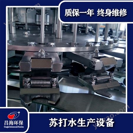 苏打水生产设备湖南饮料生产线灌装机