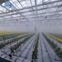 河南三準霧森高壓噴霧主機在室內蔬菜大棚里的保濕應用